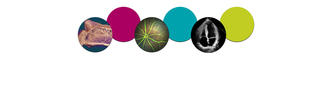 Page break featuring examples of microCT, advanced ophthalmic imaging, and ultrasound imaging in circular bubbles, interspersed with magenta, teal, and lime-colored decorative bubbles, highlighting Tufts CMS's diverse imaging capabilities.
