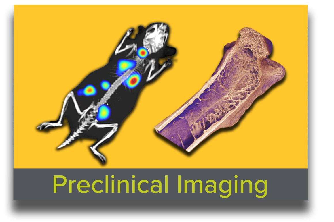 The Tufts Preclinical Imaging Core (PIC) provides cutting-edge imaging tools for in vivo and ex vivo studies in small animals. With modalities like optical imaging, ultrasound, microCT, EchoMRI, and ophthalmic tools, we capture detailed physiological and anatomical data. Available for self-service or technician-assisted use, PIC supports research at Tufts and offers contract services for Biotech and Pharma.  Our services include training, assisted/unassisted imaging, protocol consulting, and data analysis, 