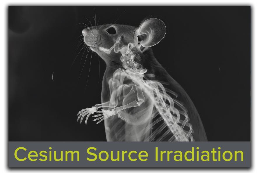 Block featuring a side profile of an X-rayed mouse, with the text "Cesium Source Irradiation" overlaid at the bottom, representing advanced research irradiation capabilities at Tufts CMS.