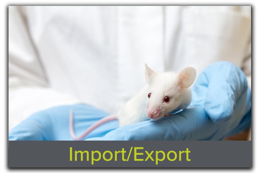Block featuring an image of a researcher gently holding a mouse, with the text "Import/Export" overlaid, highlighting Tufts CMS's animal movement and compliance services.