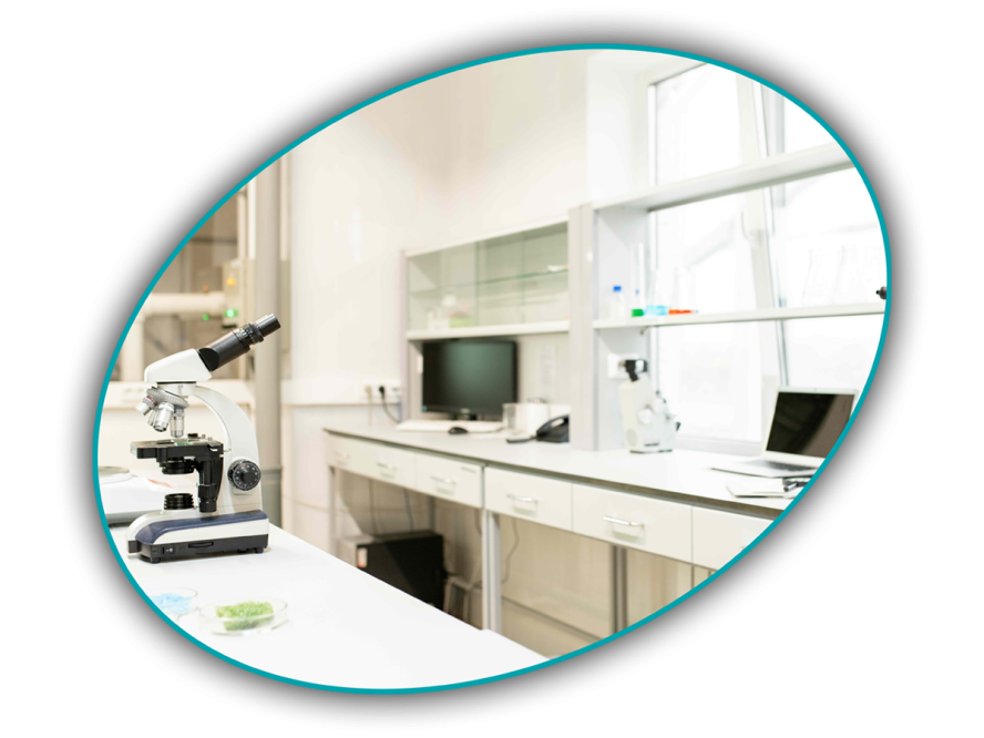 Biological laboratory space with medical samples in petri dishes and microscope on lab bench