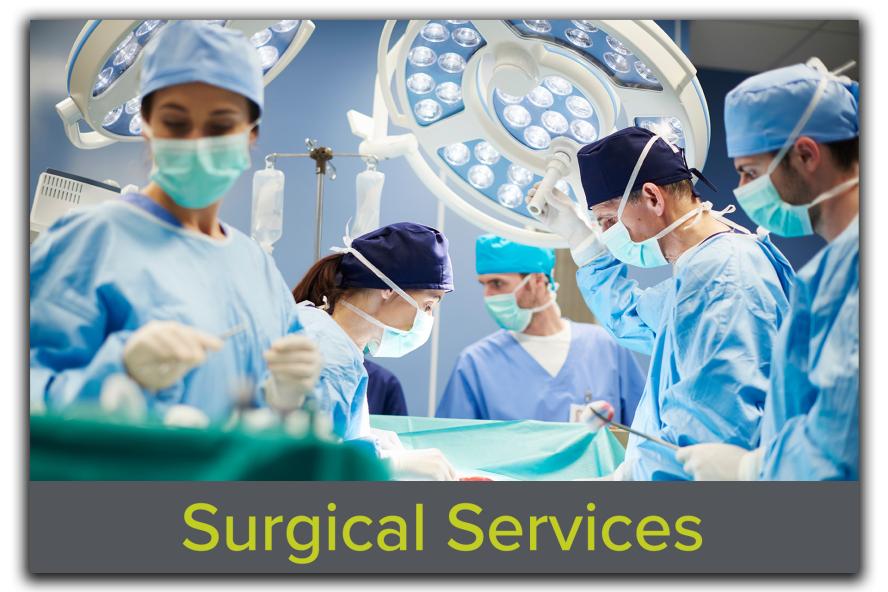 Block featuring an image of a team of surgeons working over an open surgical field, with the text "Surgical Services" overlaid, highlighting Tufts CMS's advanced surgical support for preclinical research.