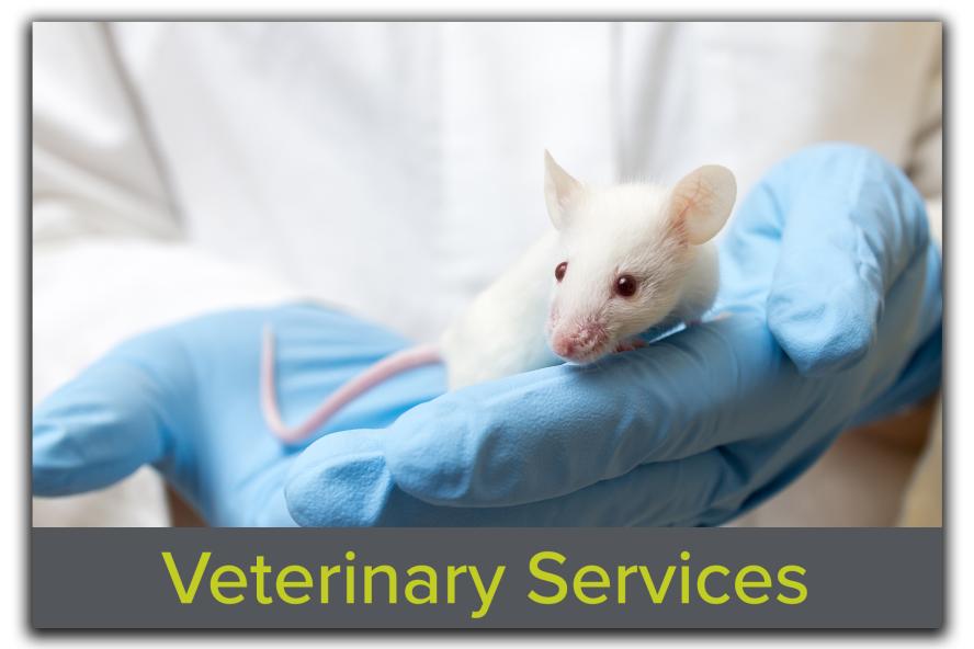Block featuring an image of a researcher gently holding a mouse, with the text "Veterinary Services" overlaid, highlighting Tufts CMS's dedication to animal health and welfare in research.